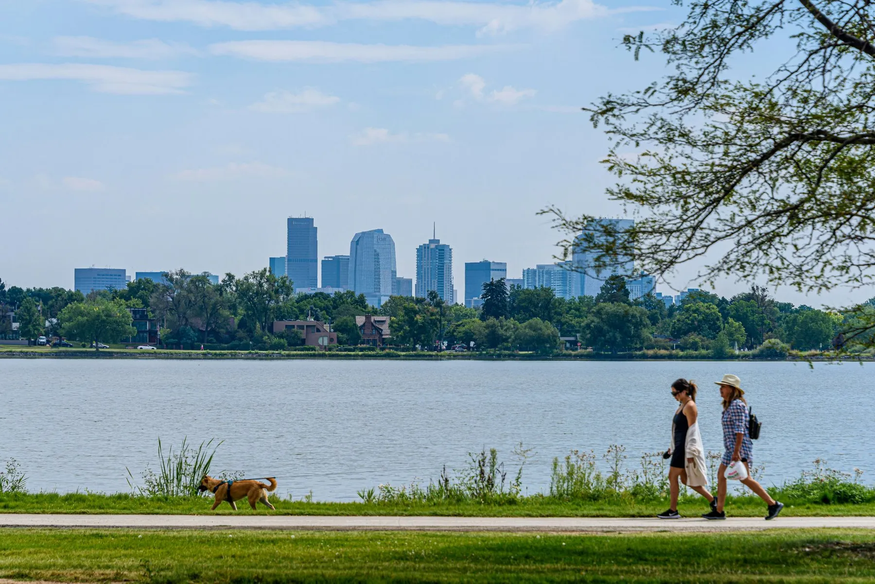 Downtown Denver skyline across a lake, with people and a dog on the lakeside path